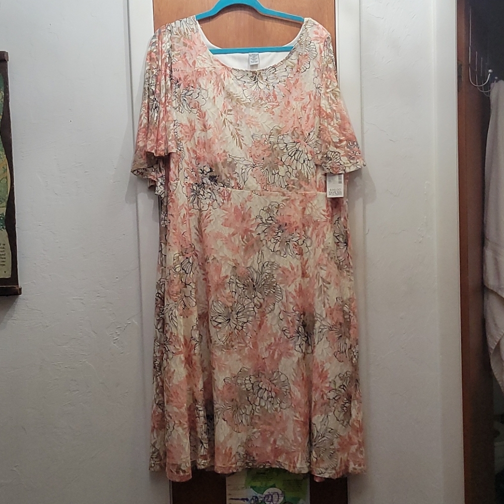 Lace cape dress
